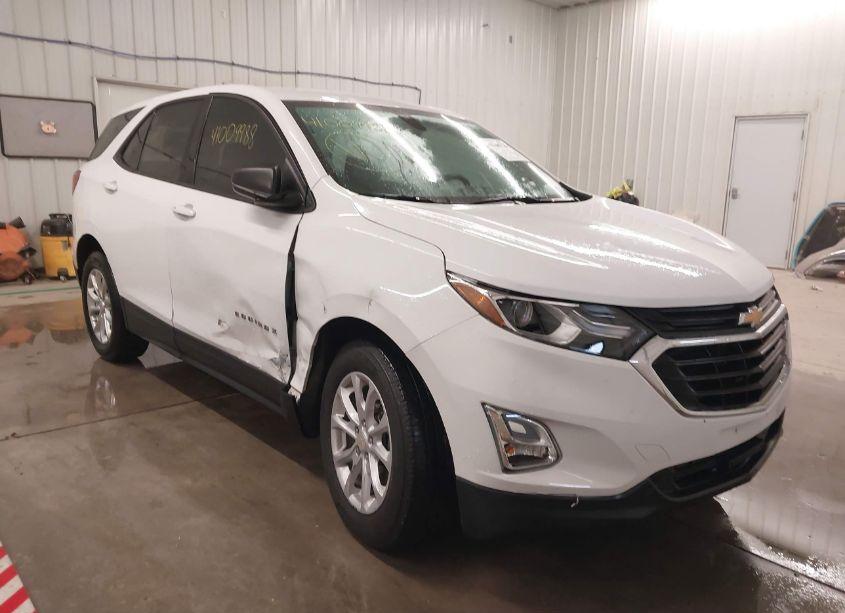 2019 Chevrolet Equinox LS (VIN 3GNAXHEV6KL265201) main photo