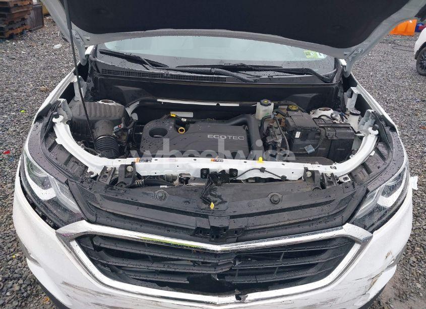 Photo 10 of 2021 Chevrolet Equinox FWD LS (VIN 3GNAXHEV7MS172728)