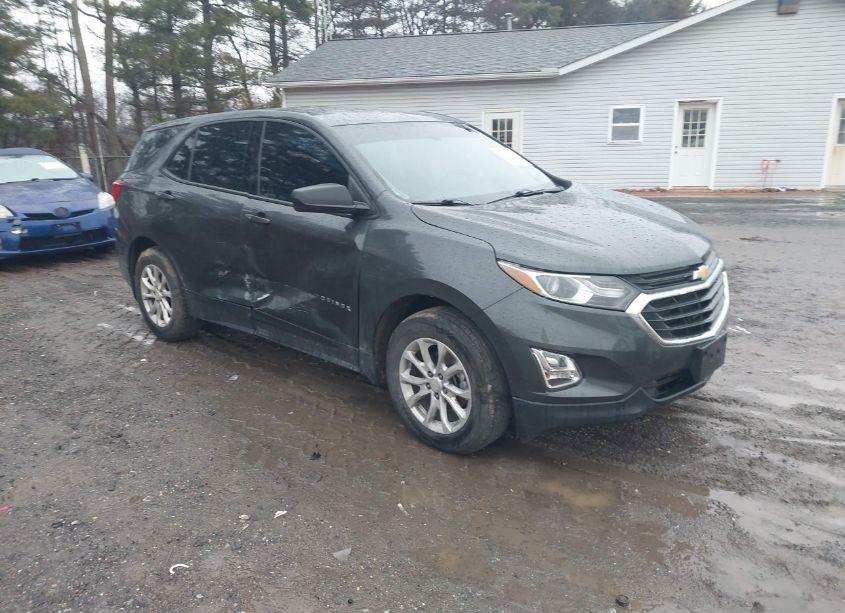 2019 Chevrolet Equinox LS (VIN 3GNAXHEV8KS509145) main photo