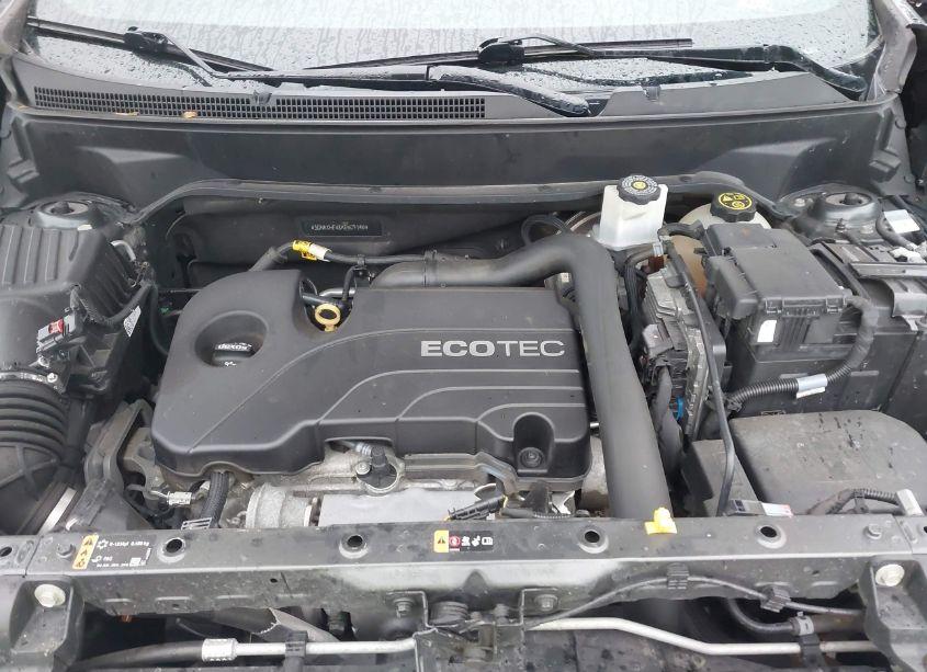 Photo 10 of 2019 Chevrolet Equinox LS (VIN 3GNAXHEV8KS509145)