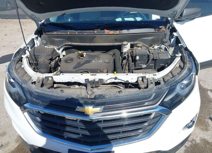 Photo 10 of 2019 Chevrolet Equinox LS (VIN 3GNAXHEV8KS595248)