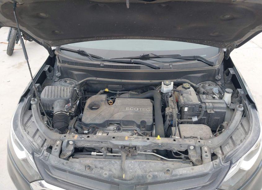 Photo 10 of 2019 Chevrolet Equinox LS (VIN 3GNAXHEV8KS622836)