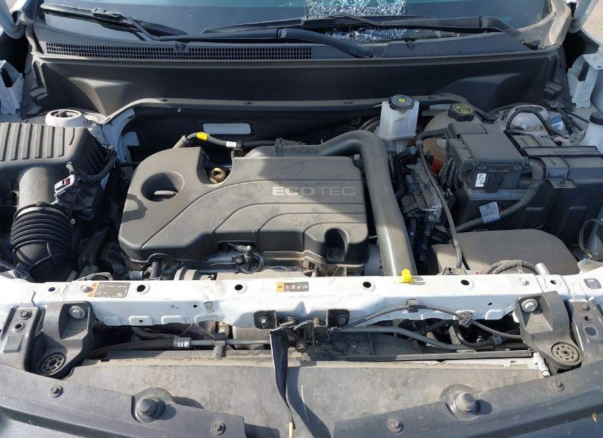 Photo 10 of 2020 Chevrolet Equinox FWD LS (VIN 3GNAXHEV8LS526562)