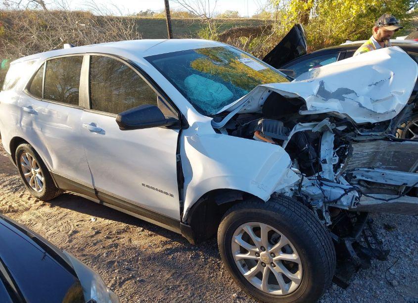 2020 Chevrolet Equinox FWD LS (VIN 3GNAXHEV8LS680625) main photo