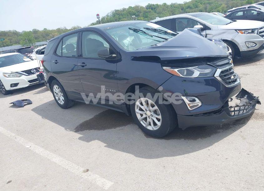 2019 Chevrolet Equinox LS (VIN 3GNAXHEV9KL244293) main photo