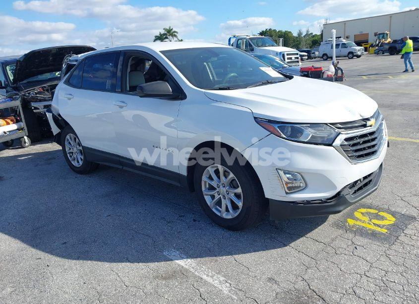 2019 Chevrolet Equinox LS (VIN 3GNAXHEVXKS506036) main photo