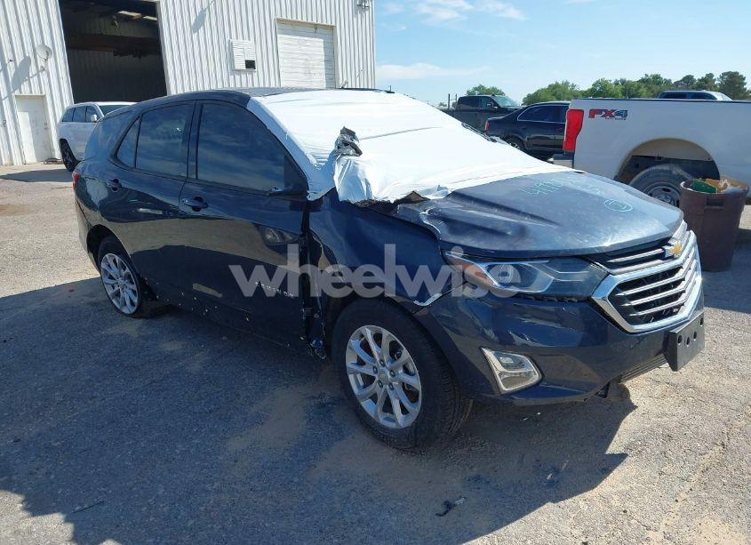 2019 Chevrolet Equinox LS (VIN 3GNAXHEVXKS514346) main photo
