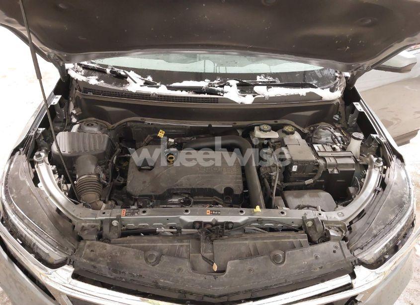 Photo 10 of 2024 Chevrolet Equinox FWD 2FL (VIN 3GNAXJEG2RS137207)