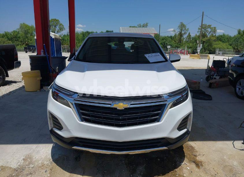 Photo 12 of 2024 Chevrolet Equinox FWD 2FL (VIN 3GNAXJEG5RL305450)
