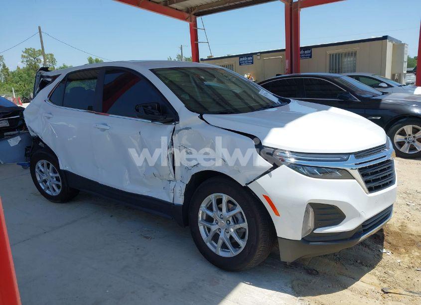 Photo 13 of 2024 Chevrolet Equinox FWD 2FL (VIN 3GNAXJEG5RL305450)