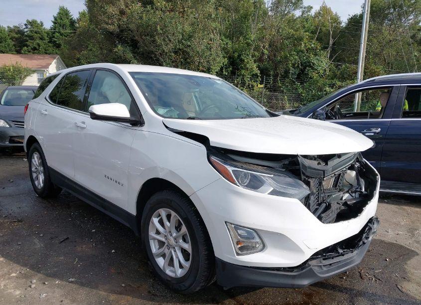 2019 Chevrolet Equinox LT (VIN 3GNAXJEV0KS631764) main photo