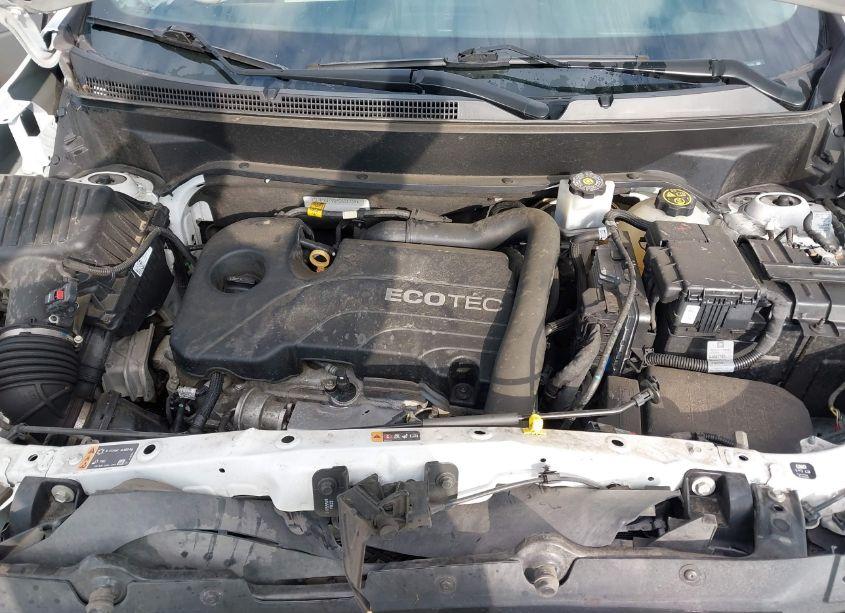 Photo 10 of 2019 Chevrolet Equinox LT (VIN 3GNAXJEV0KS631764)