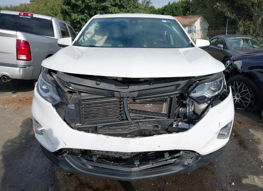 Photo 12 of 2019 Chevrolet Equinox LT (VIN 3GNAXJEV0KS631764)