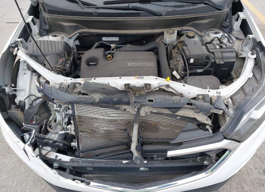 Photo 10 of 2018 Chevrolet Equinox LT (VIN 3GNAXJEV1JS541506)