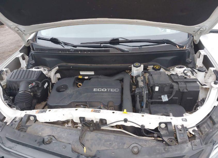 Photo 10 of 2019 Chevrolet Equinox LT (VIN 3GNAXJEV6KS630845)