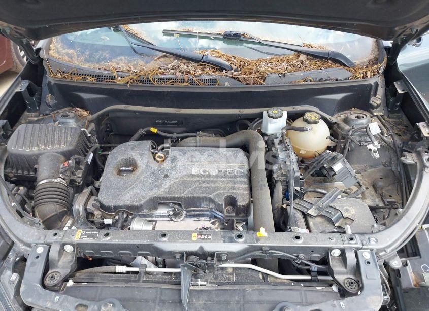 Photo 10 of 2018 Chevrolet Equinox LT (VIN 3GNAXJEVXJS638753)