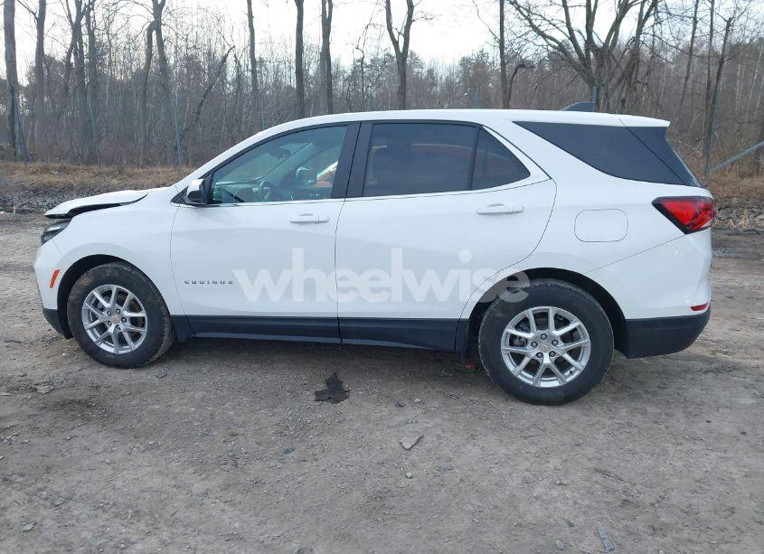 Photo 14 of 2024 Chevrolet Equinox FWD LT (VIN 3GNAXKEG1RL363819)