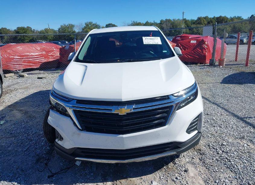 Photo 12 of 2024 Chevrolet Equinox LT (VIN 3GNAXKEG1RS146826)