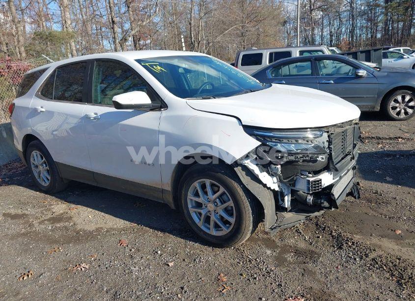 2024 Chevrolet Equinox FWD LT (VIN 3GNAXKEG4RL113099) main photo