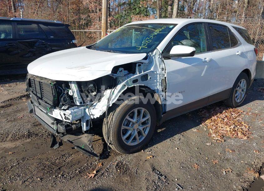 Photo 2 of 2024 Chevrolet Equinox FWD LT (VIN 3GNAXKEG4RL113099)