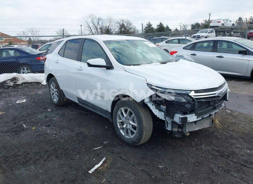 2024 Chevrolet Equinox FWD LT (VIN 3GNAXKEG4RL353172) main photo