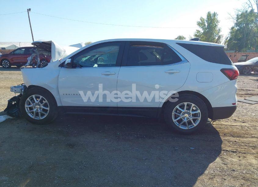 Photo 14 of 2024 Chevrolet Equinox FWD LT (VIN 3GNAXKEG4RL354502)