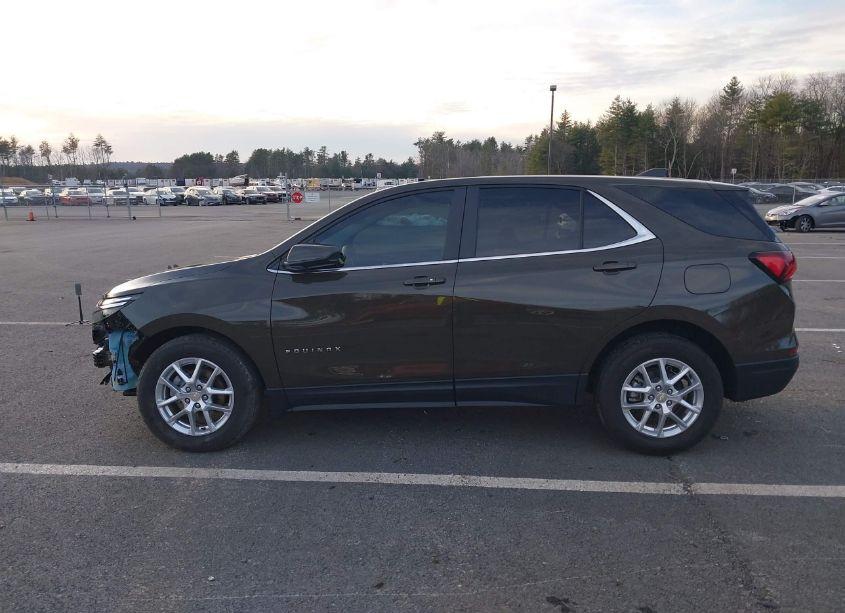 Photo 15 of 2023 Chevrolet Equinox FWD LT (VIN 3GNAXKEG5PL243759)