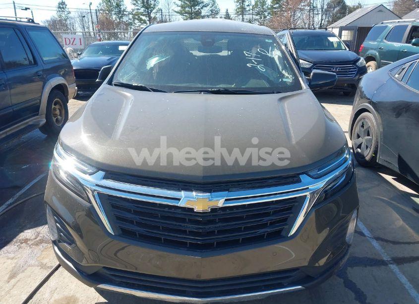 Photo 12 of 2024 Chevrolet Equinox FWD LT (VIN 3GNAXKEG5RL190354)