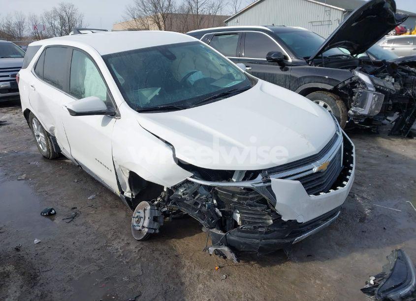 2024 Chevrolet Equinox FWD LT (VIN 3GNAXKEG7RS103222) main photo