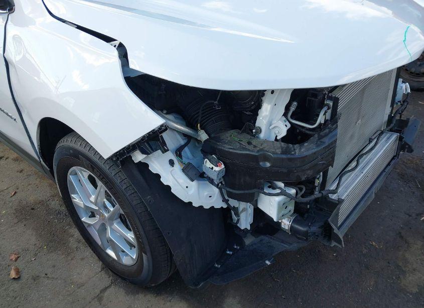 Photo 19 of 2023 Chevrolet Equinox FWD LT (VIN 3GNAXKEGXPL234121)