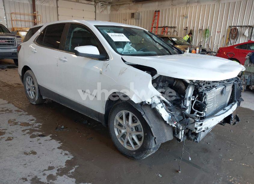 2023 Chevrolet Equinox FWD LT (VIN 3GNAXKEGXPS140052) main photo