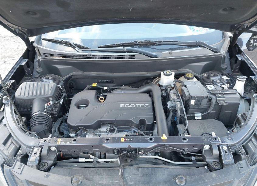 Photo 10 of 2019 Chevrolet Equinox LT (VIN 3GNAXKEV0KS538121)