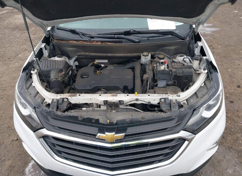 Photo 10 of 2019 Chevrolet Equinox LT (VIN 3GNAXKEV4KS516171)