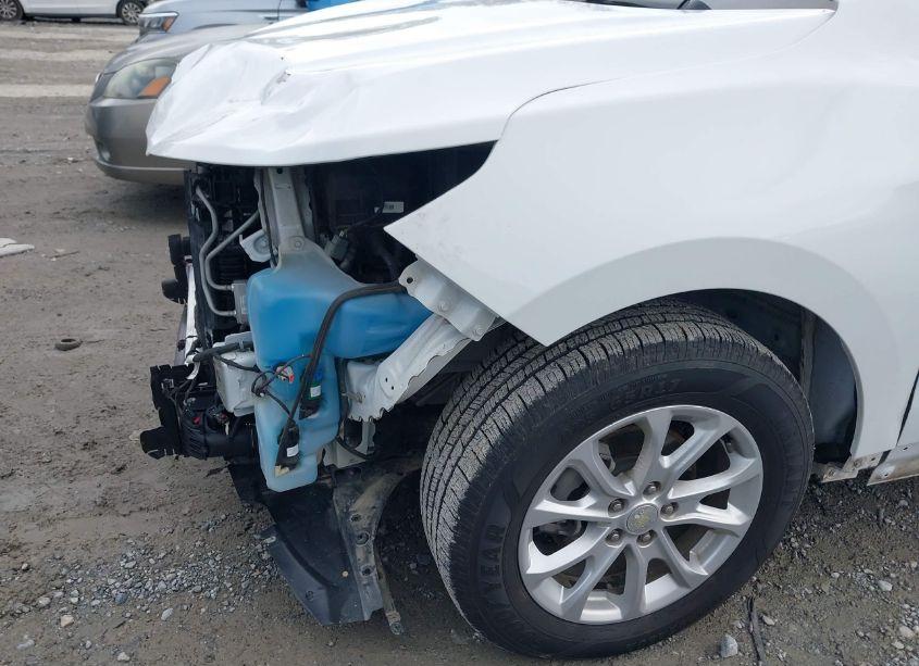 Photo 19 of 2019 Chevrolet Equinox LT (VIN 3GNAXKEV5KS664975)