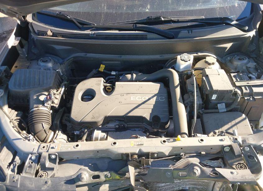 Photo 10 of 2019 Chevrolet Equinox LT (VIN 3GNAXKEV6KS559653)