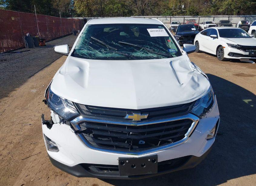 Photo 12 of 2019 Chevrolet Equinox LT (VIN 3GNAXKEV6KS669330)