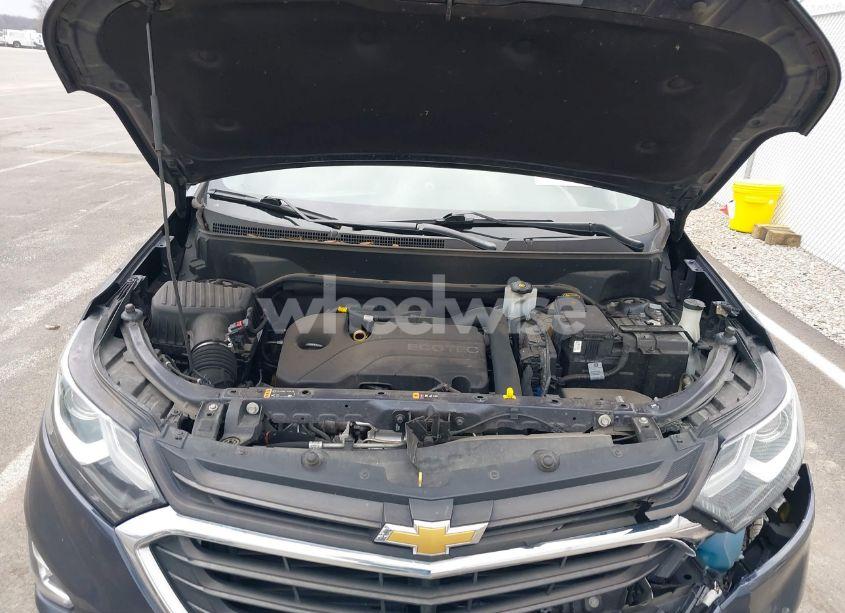 Photo 10 of 2019 Chevrolet Equinox LT (VIN 3GNAXKEV7KS525155)