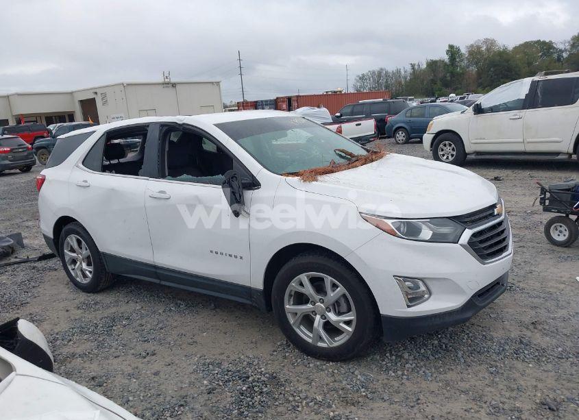 Photo 13 of 2019 Chevrolet Equinox LT (VIN 3GNAXKEV7KS671622)
