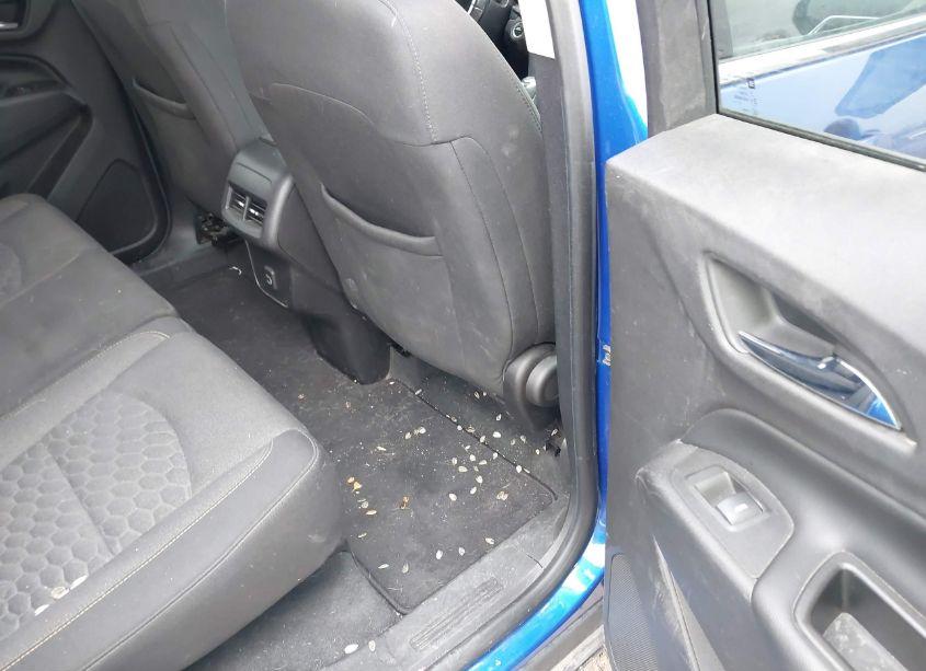 Photo 8 of 2019 Chevrolet Equinox LT (VIN 3GNAXKEV8KS553160)