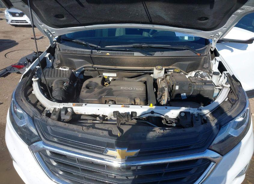 Photo 10 of 2019 Chevrolet Equinox LT (VIN 3GNAXKEV8KS638094)