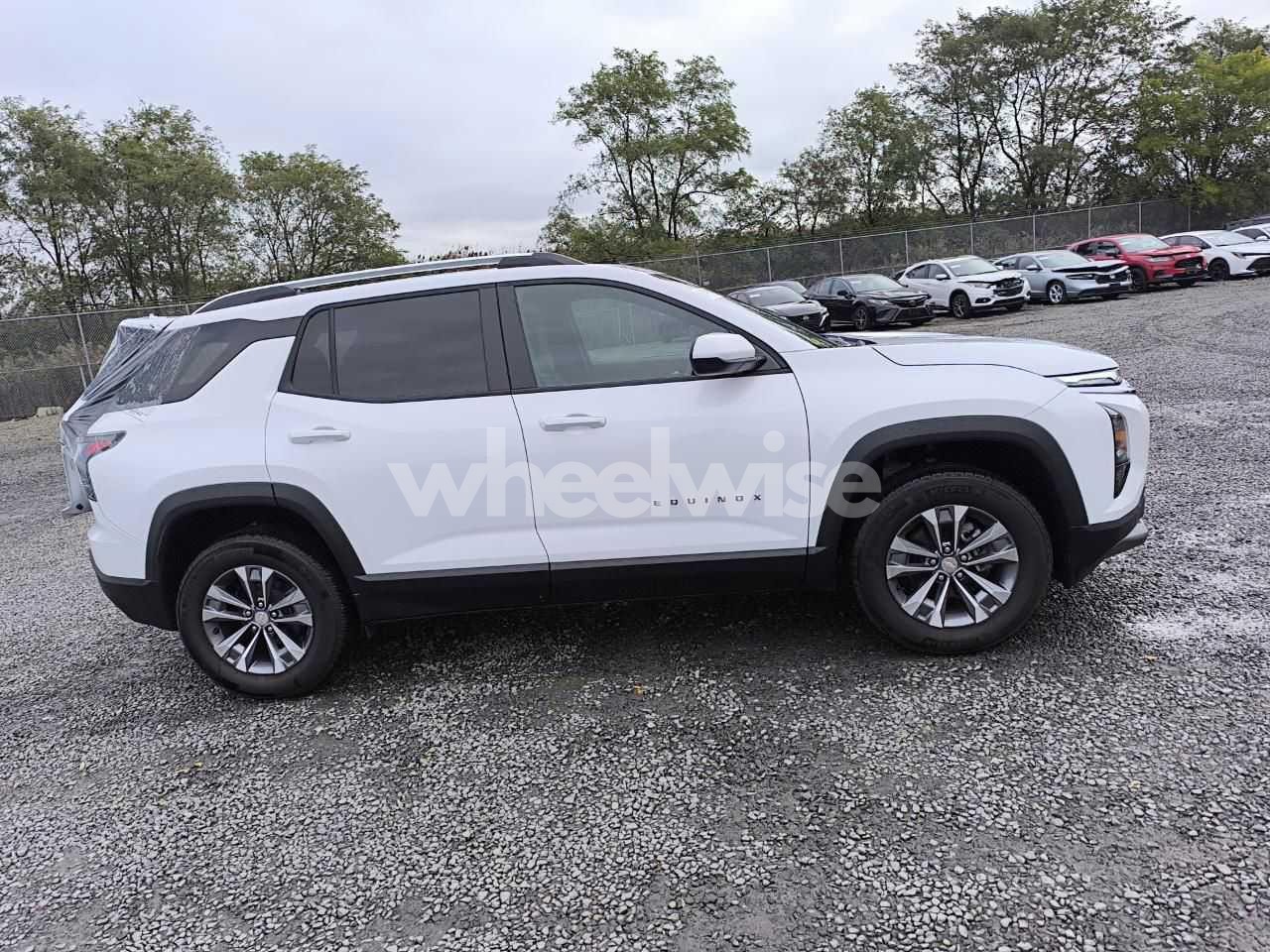 Photo 14 of 2026 CHEVROLET EQUINOX LT (VIN 3GNAXPEG8TL166120)