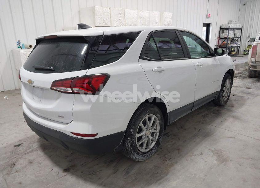 Photo 4 of 2024 Chevrolet Equinox AWD LS (VIN 3GNAXSEG5RL159976)