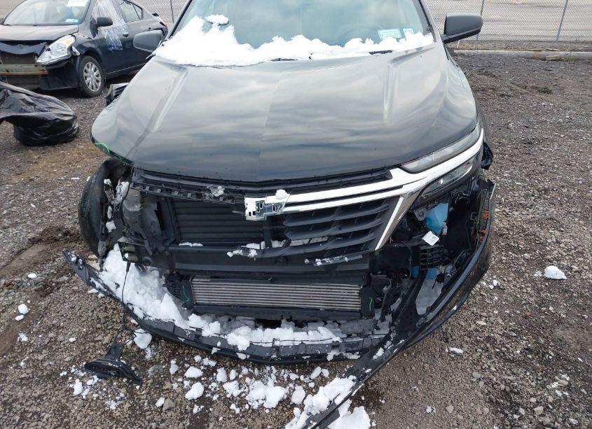 Photo 12 of 2023 Chevrolet Equinox AWD LS (VIN 3GNAXSEGXPL191965)