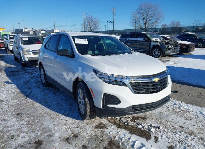 2024 Chevrolet Equinox AWD LS (VIN 3GNAXSEGXRL353886) main photo