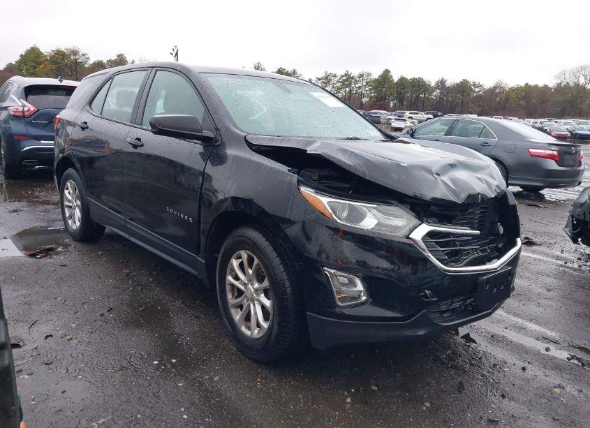2019 Chevrolet Equinox LS (VIN 3GNAXSEV4KL250290) main photo