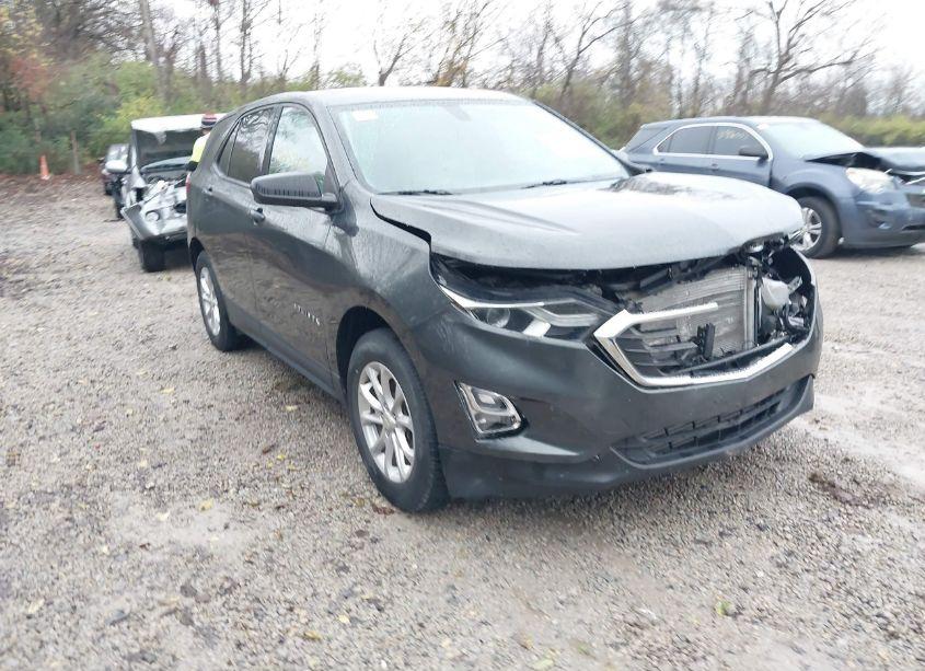 2019 Chevrolet Equinox LS (VIN 3GNAXSEV5KL339561) main photo