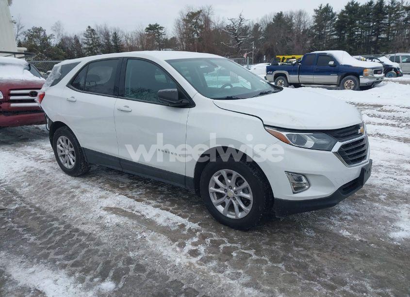 2019 Chevrolet Equinox LS (VIN 3GNAXSEV5KS653099) main photo