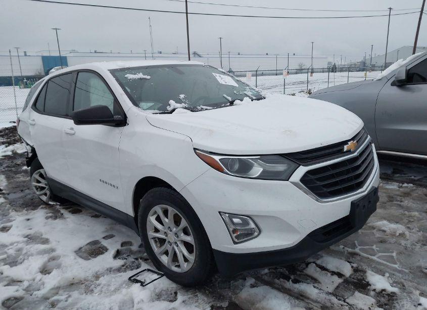 2019 Chevrolet Equinox LS (VIN 3GNAXSEV6KS555635) main photo