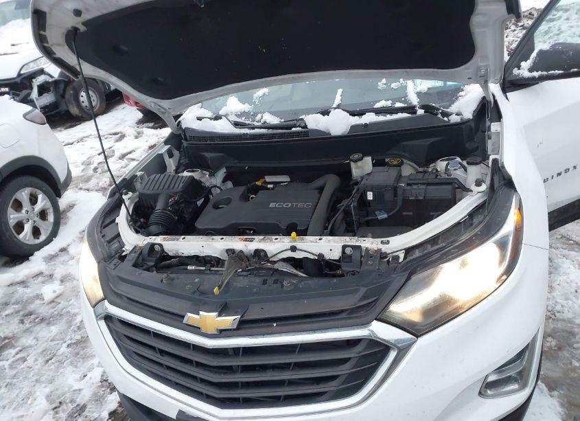 Photo 10 of 2019 Chevrolet Equinox LS (VIN 3GNAXSEV6KS555635)