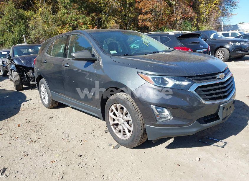 2019 Chevrolet Equinox LS (VIN 3GNAXSEV8KS660399) main photo